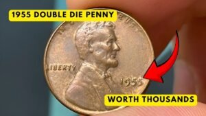 1955 Double Die Penny: How to Spot This Rare Coin Worth Thousands